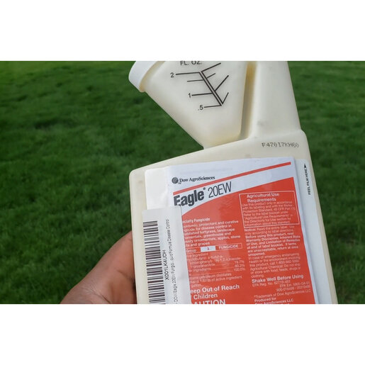 Eagle 20EW Broad Spectrum Liquid Fungicide 1 gal. Jug | SiteOne US